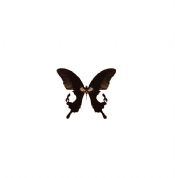 The Butterfly Factory