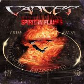 Spirit In Flames